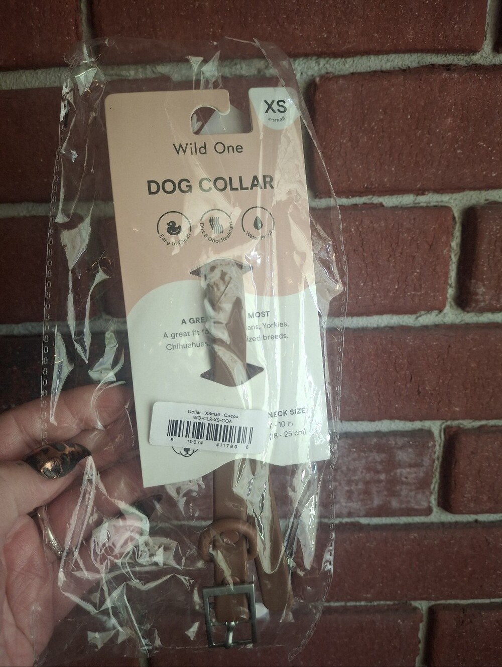 Wild One XS Dog Collar in Brown